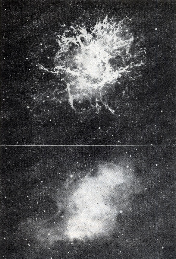 Рис. 156. Фотографии Крабовидной туманности в лучах водородной линии Нα (вверху) и в лучах непрерывного спектра (внизу)